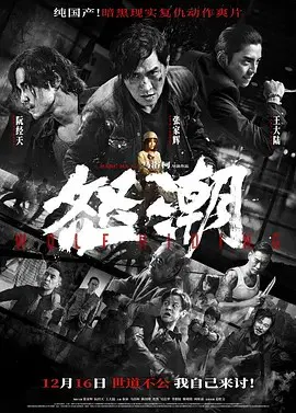 【剧情片】怒潮